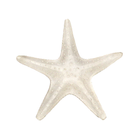 Textured Starfish