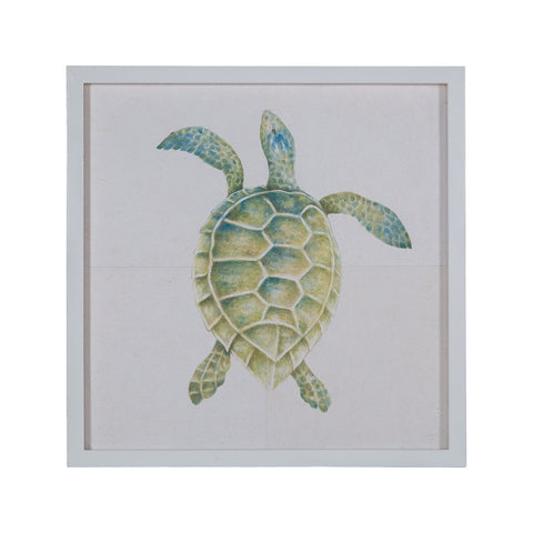 Hand Painted Tortoise