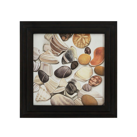 Shells and Stones