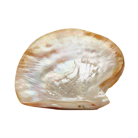 Pearl Shell Plate