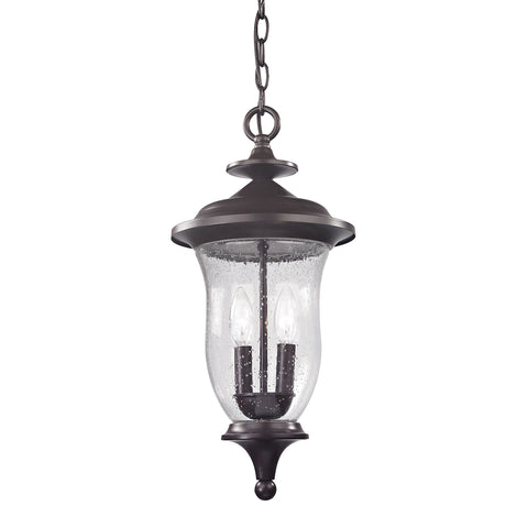 Trinity 2 Light Outdoor Pendant In Oil Rubbed Bronze