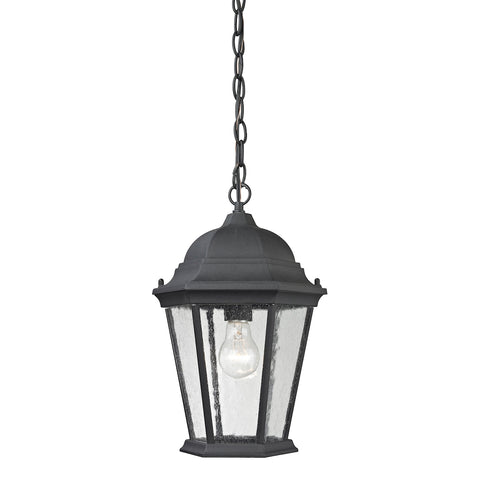 Temple Hill 1 Light Outdoor Pendant In Matte Textured Black