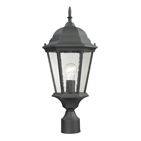 Temple Hill 1 Light Outdoor Pendant In Matte Textured Black