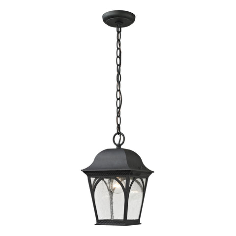 Cape Ann 1 Light Outdoor Pendant In Matte Textured Black