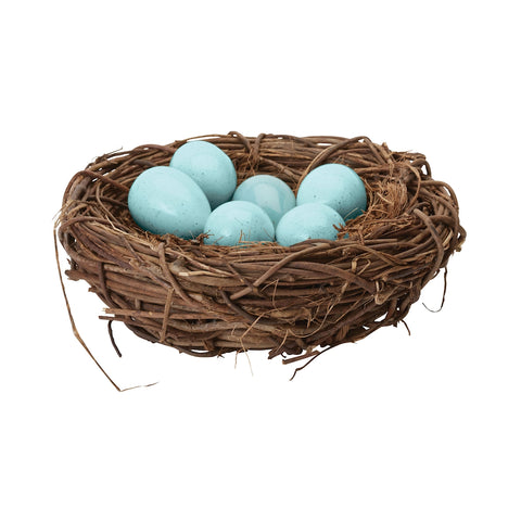 European Starling Eggs In Nest