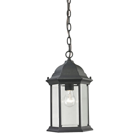 Spring Lake 1 Light Outdoor Pendant In Matte Textured Black
