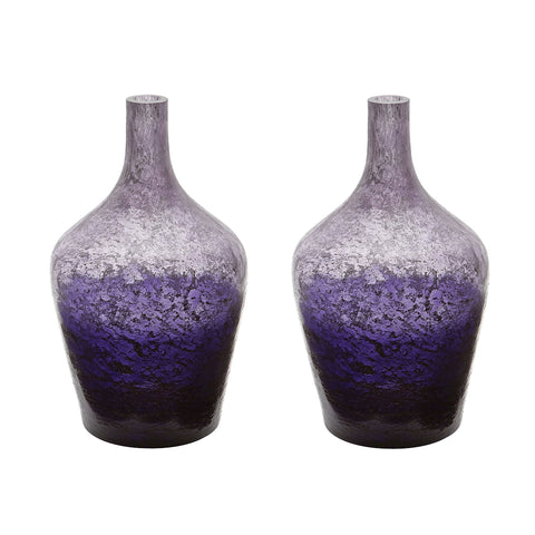 Plum Ombre Bottle - Set of 2
