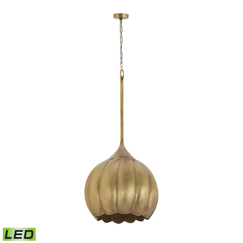 Iron Melon Large LED Ceiling Lamp