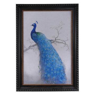 Crestview PEACOCK BLUE 2 CSS2032