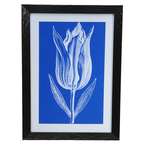 Crestview CHROMATIC TULIPS 7 CVA3232