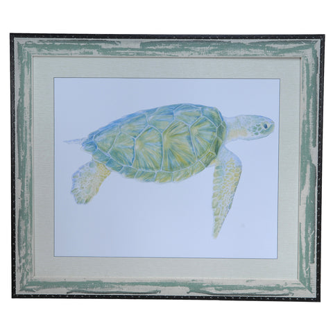 Crestview SEA TURTLE 1 CVA3234