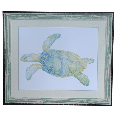Crestview SEA TURTLE 2 CVA3235