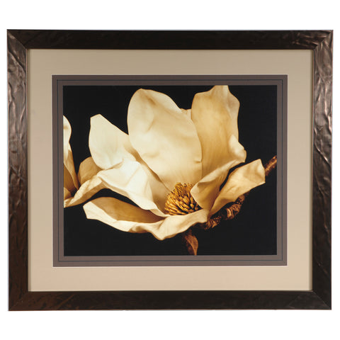 Crestview BUTTERCREAM MAGNOLIA  1 CVA3274