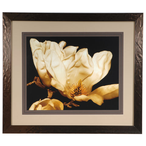 Crestview BUTTERCREAM MAGNOLIA  2 CVA3275