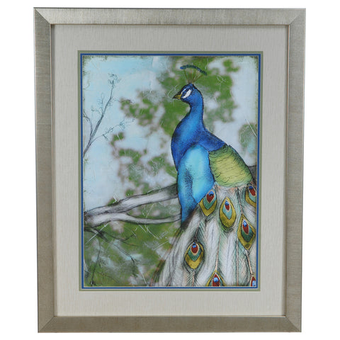 Crestview PEACOCK REFLECTIONS 1 CVA3334