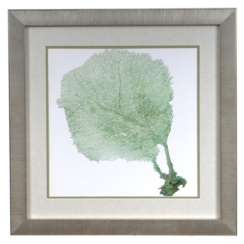 Crestview SEA FAN 2 CVA3367