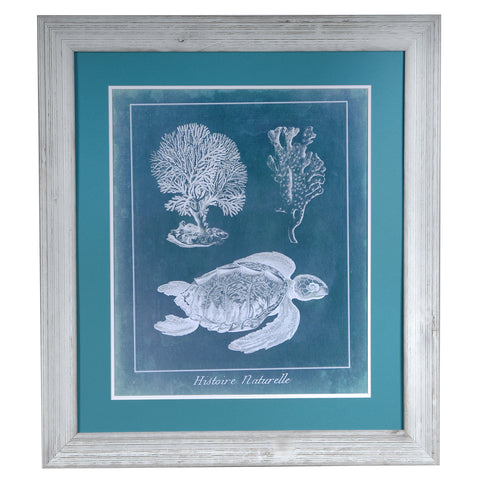 Crestview SEA TURTLE 1 CVA3384