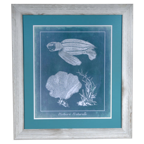 Crestview SEA TURTLE 2 CVA3385