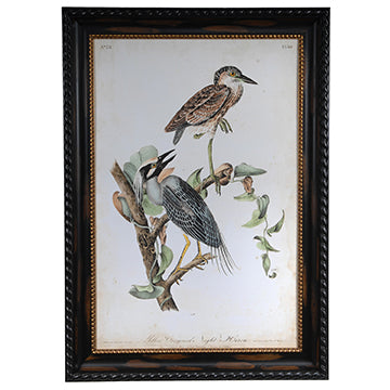 Crestview NIGHT HERON CVA3402