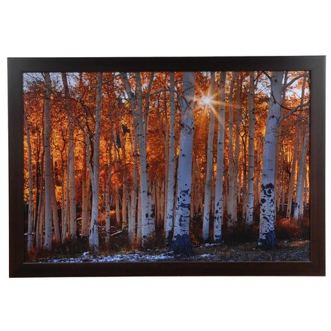 Crestview BURNING OCTOBER CVA3456