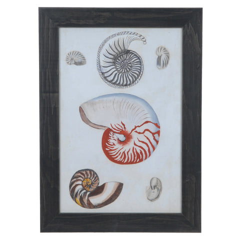 Crestview SEASHORE NOTES 1 CVA3495