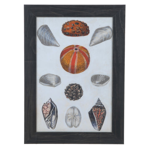 Crestview SEASHORE NOTES 2 CVA3496