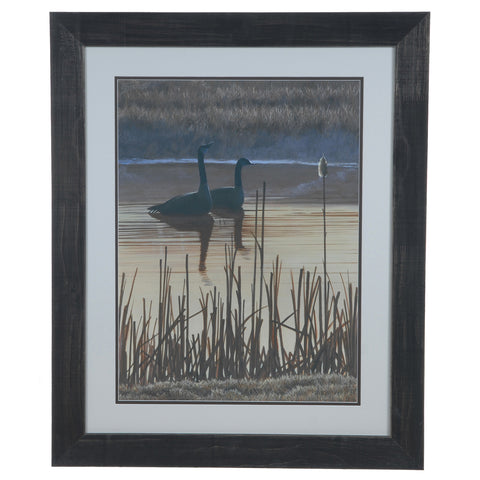 Crestview FIRST LIGHT 1 CVA3501