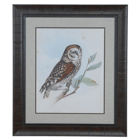 Crestview LITTLE OWL CVA3521