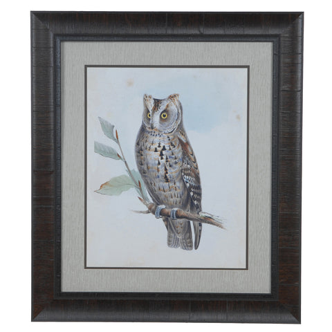 Crestview SCOPS OWL CVA3522