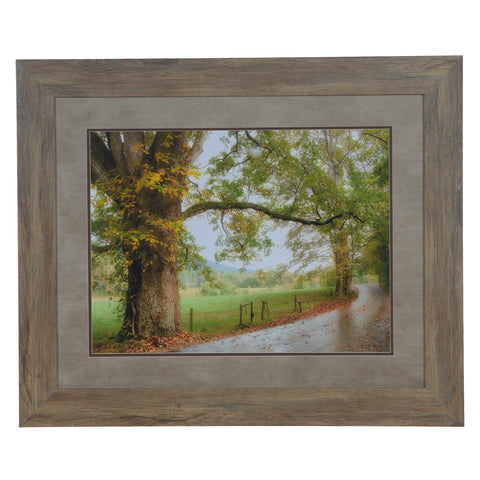 Crestview WET PATH CVA3542
