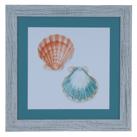 Crestview WATERCOLOR SHELLS 1 CVA3547