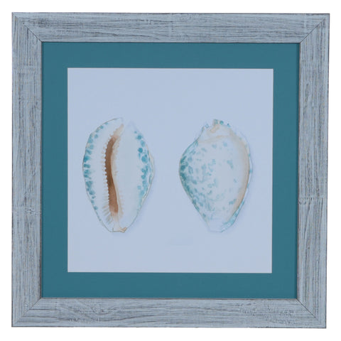 Crestview WATERCOLOR SHELLS 2 CVA3548