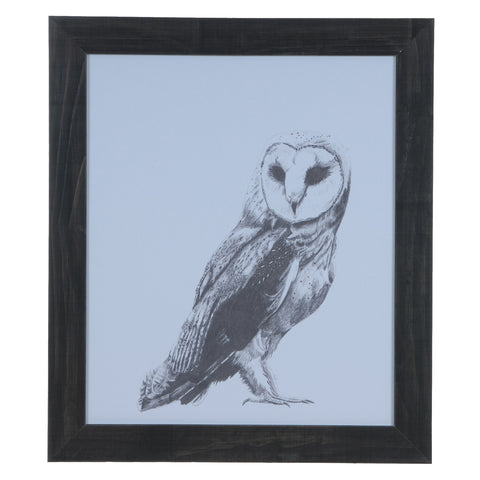 Crestview OWL CVA3557