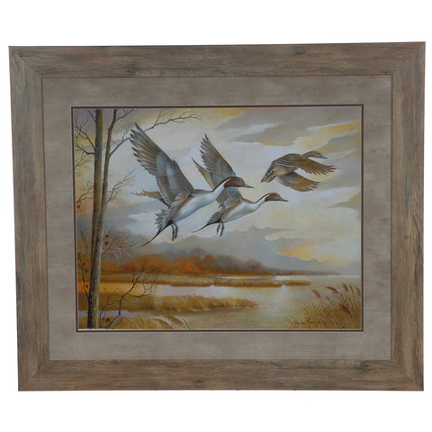 Crestview PINTAILS CVA3583