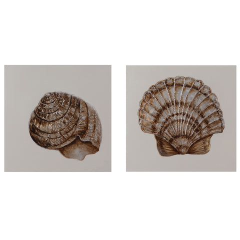 Crestview Shell Time CVTOP2049