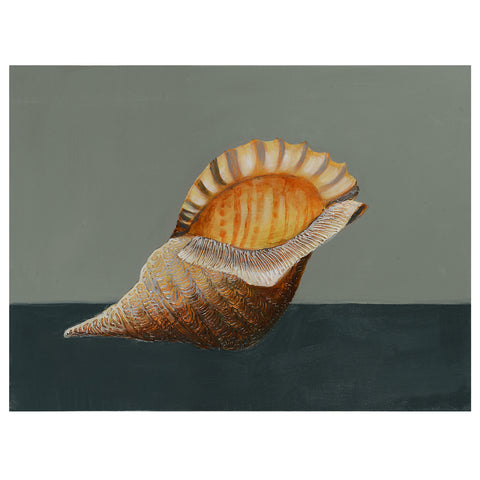 Crestview Sea Beauty CVTOP2075