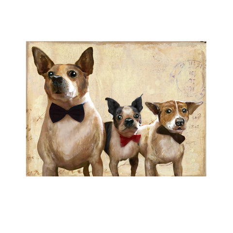 Crestview Three Amigos CVTOP2159