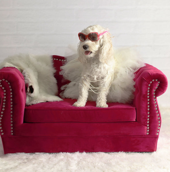 Yorkshire Pink Pet Bed