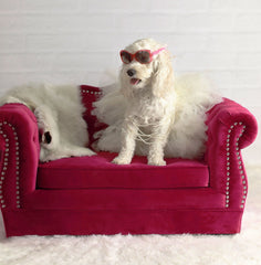 Yorkshire Pink Pet Bed