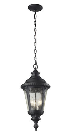Z-Lite Medow Outdoor Chain Light 545CHM-BK